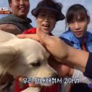 죽도농장 이미지