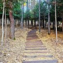 문수산 산림욕장 | 김포 문수산 산림욕장길 걸으며 피어난 가족의 정(情)