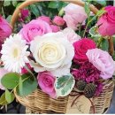 화인아파트(남) 이미지