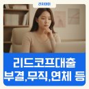 리드코프 부결 후기 추가대출 무직자 주부 연체자 가능유무