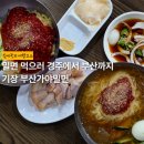 부산가야밀면 | 기장 정관 부산가야밀면 내돈내산 후기 | 밀면 먹으러 경주에서 부산까지 다녀옴
