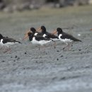 봉무초교 이미지