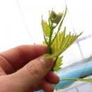 도순농장 이미지