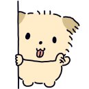 강아지에 빠지다 이미지