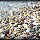 (주)선인 이미지