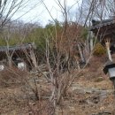 형택농장 이미지