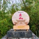 참고수보이차 네이버블로그