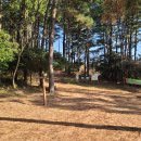 고내봉수터 | [오름 124] 고내봉 175m