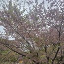 용덕사 - 용인시 처인구 이동면 | 용인 용덕사 가파른 길 올라 만난 조용한 사찰.. 희망의 종 치고 온 후기
