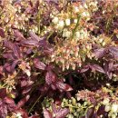 스플래쉬 이미지