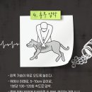 운정힐링동물병원 이미지