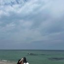 미소펜션 | 강릉 2박 3일 강릉여행 강릉 맛집 카페 숙소 추천 2일차 여행 기록