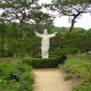 하느님의 종 62년 - 정인수 아우구스티노(춘천교구) 이미지