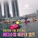송도복국 | [TI 수영] 스마트스윔 26년 7월 해운대 오픈워터 바다수영 캠프 후기
