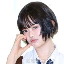 향스토리 이미지
