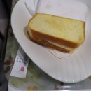 바뷔치 이미지