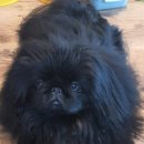 브리더하우스 이미지