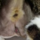 김해동물병원 이미지