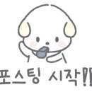 아이쇼핑의류