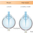 부산성모병원 이미지