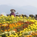 마산가고파센타