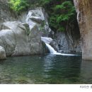 지리산오리유통 이미지