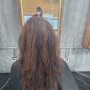 퍼플커트 전문점 | 솔직한 후기 작성해요 변신시킬 수 있는 염색 머리 스타일