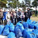 제44회 진도 신비의 바닷길 축제 맞이 환경 정화 활동 이미지