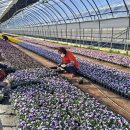 꽃내음가득 이미지