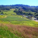 연강나룻길 C코스 이미지