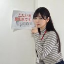 아카리Akari