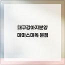 대구강아지분양 마마스미독 본점 | 율하역근처 애완견분양 대구강아지분양 마마스미독 본점