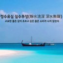심수