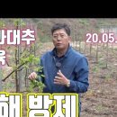 09방제
