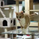 광수농장1 이미지