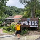금송로7번길 1 | 평창 솔비알캠핑장 계곡 7번 이용후기
