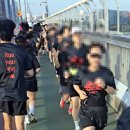 완주군보장구서비스센터 | 뉴발란스 런유어웨이 서울 10K. 쉐이크아웃런, 본대회 완주 후기