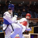 한국경희대태권도체육관 이미지