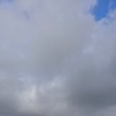 아난티클럽서울(주) | 제주도골프장 라운딩~ 아난티클럽 제주cc 라운딩후기~