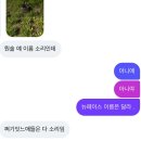 청년다방통영무전점 | 다 먹은 옥수수와 말랑말랑한 마음 같은 것