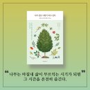 책과 글나무 | [책 나눔 이벤트] 나무 같은 사람이 되고 싶다, 리즈 마빈, 나무에게서 배우는 인생 수업