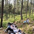 소호 숲 이미지