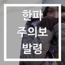 엘리트복싱클럽 이미지