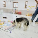 씻고놀개 이미지