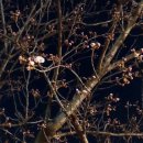 검암체육공원 이미지