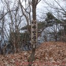 금학목장 티스토리