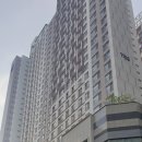 슈엘로안경 이미지