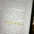 디즈니치킨 네이버블로그