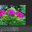 만물백화점 이미지