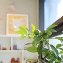 서울아이정신과의원 | [서울 강동·송파·잠실·광진·구리·남양주...아이새학기 적응일까요 분리불안일까요 | 서울 영어...